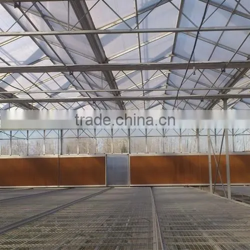 Pc Sheet Covered Greenhouse