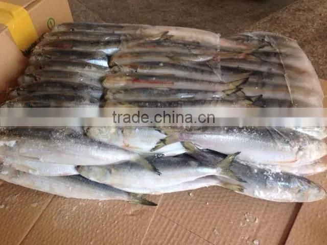 2017 New food grade all types of sardine fishes with long service life