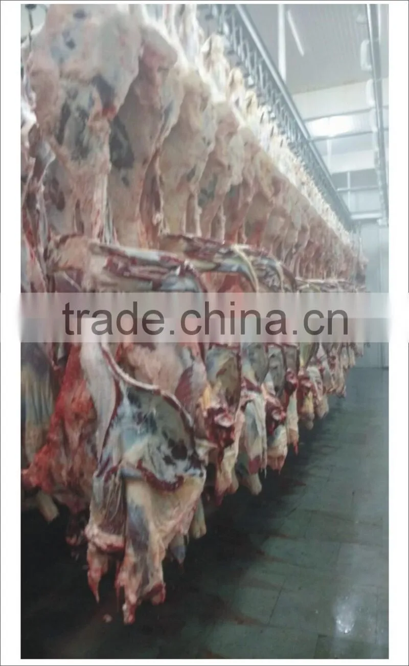 Halal Buffalo Meat Boneless Frozen