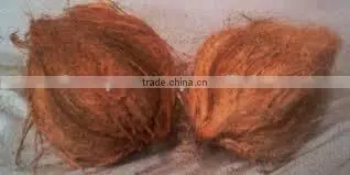 Fresh vegetables and fruits in organic