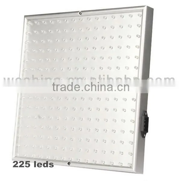 Changeable Color 20W Led Flood light for plants Led Grow Light LED
