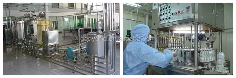 Factory Turnkey 1000L/H Soymilk Making Machine Plant Base Nuts Drinks Processing Plant Soy Bean Protein Beverage Production Line