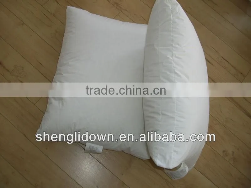 Down pillow with protector feather pillow cover