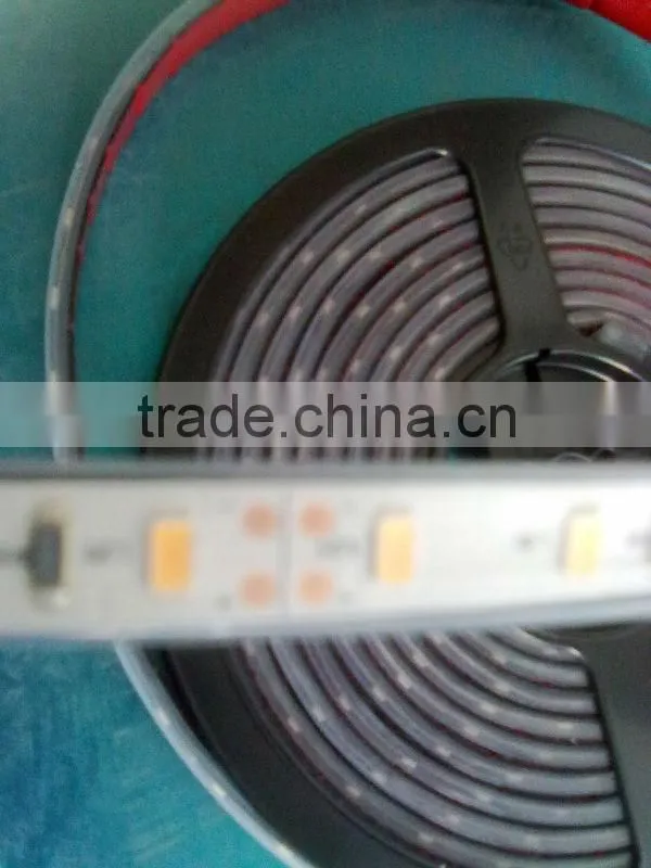 60led/m strip led 5630 led strip IP67 led strip offers