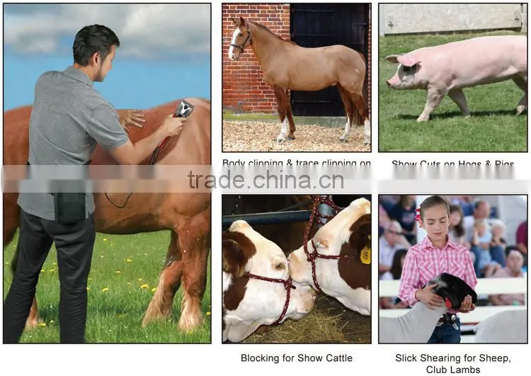 Professional Electric Cattle Horse Clipper and Power Bank