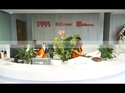 Guangdong PHNIX Eco-Energy Solution Ltd. company overview - view 1