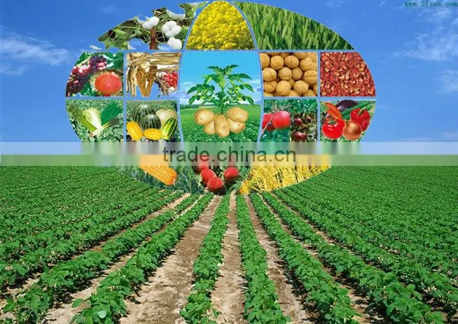 High efficiency Organic fertilizer production line, Chicken Manure granulating production line