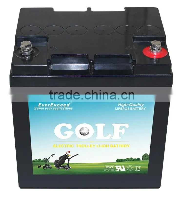 EverExceed high quality golf cart lithium battery for golf cart