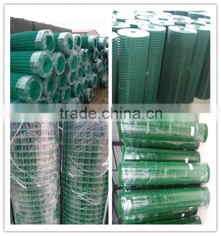 Holland wire mesh