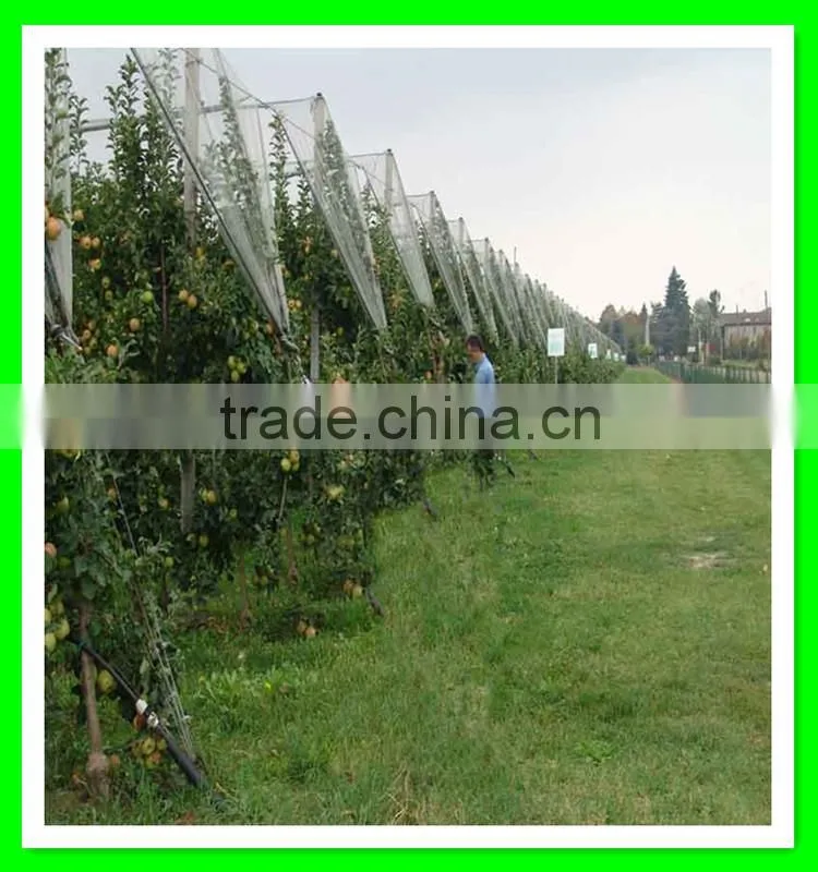 China manufacturer supply various woven hail protection mesh/anti hail structure netting/agriculture hail proof net