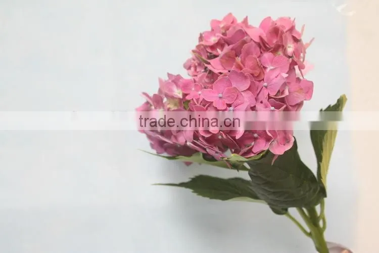 Fresh hot sale european style flower hydrangea