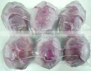 BEST PRICE FRESH DRAGON FRUIT