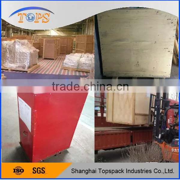 Automatic Weight Packing Machine TP-L300F With Date Printing