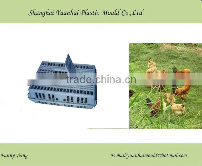 Shanghai Newest &Fashionable Plastic Chick Cages