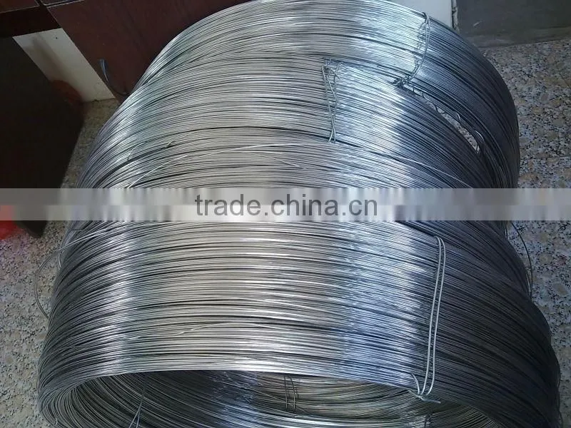 SS Brush Wire For Sales