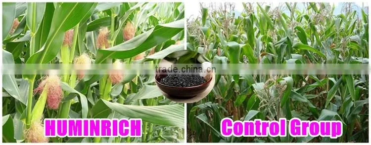 FAQ 16--How To Use The Potassium Humate Fulvate Fertilizer As A Rooting Agent?
