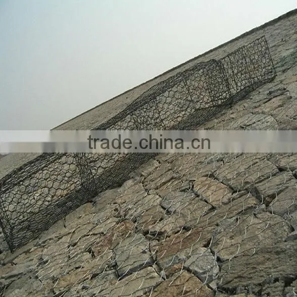 Cheap Galvanized Hexagonal Wire mesh