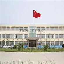 Shandong Shouguang Longxing Agriculture Film Co., Ltd. company overview - view 1