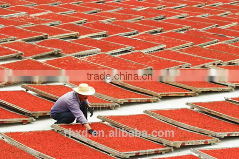 wolfberry on sale