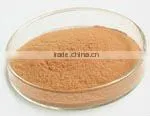 90% Polyphenols / EGCG40% / CAF 15%
