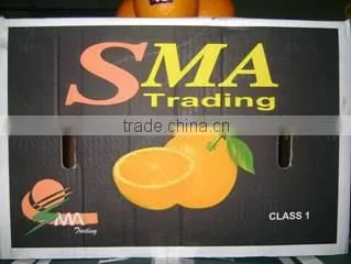 Sma Trading For Import And Export And Commercial Agencies company overview - view 1