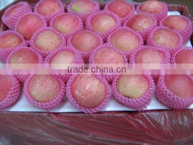 Fresh Apple