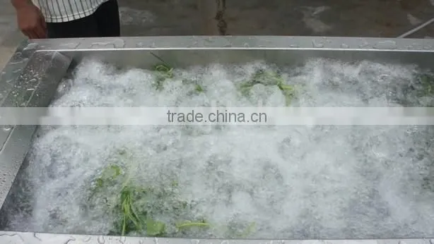 High Efficiency Commercial Vegetable Fruit Washing Equipment