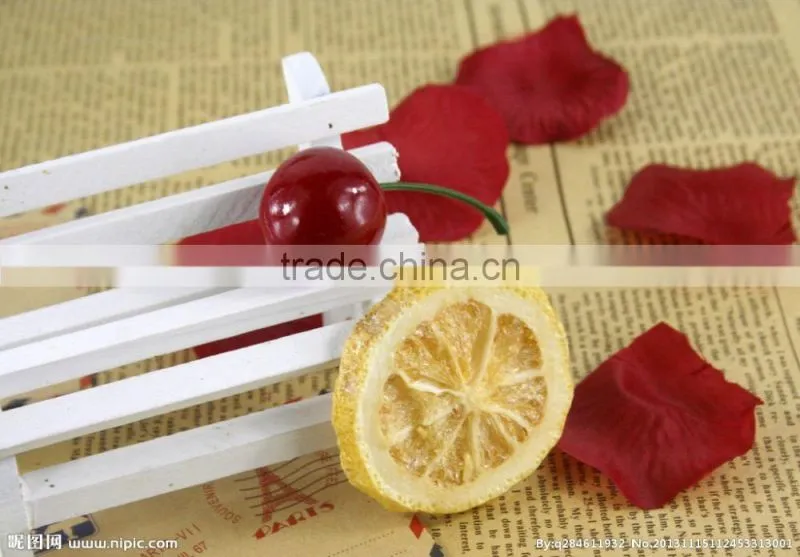 High Quality Food Vacuum Freeze Dryer Equipment