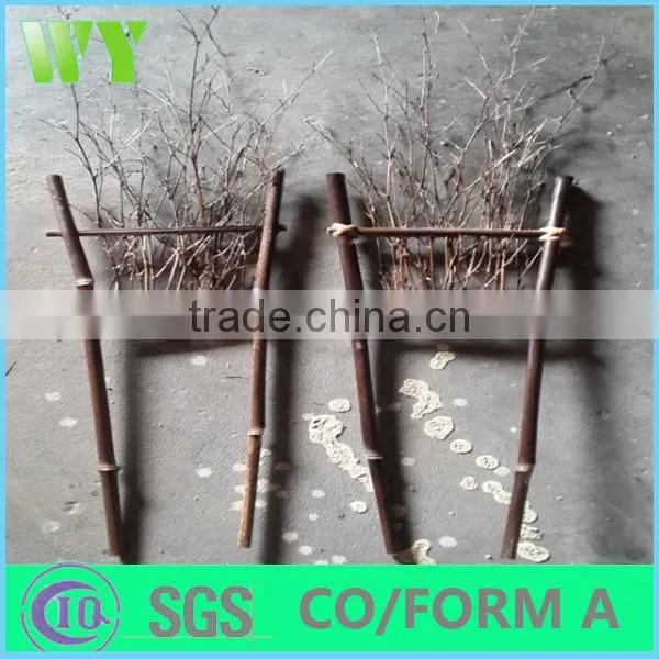 Wy-C159 Garden Bamboo Flower Trellis