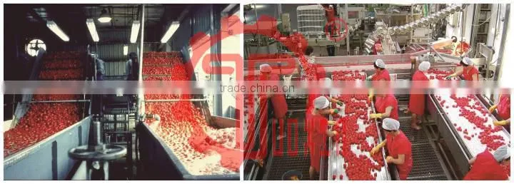 Plastic Snap-on Plate Top Conveyor Chain 1873T series