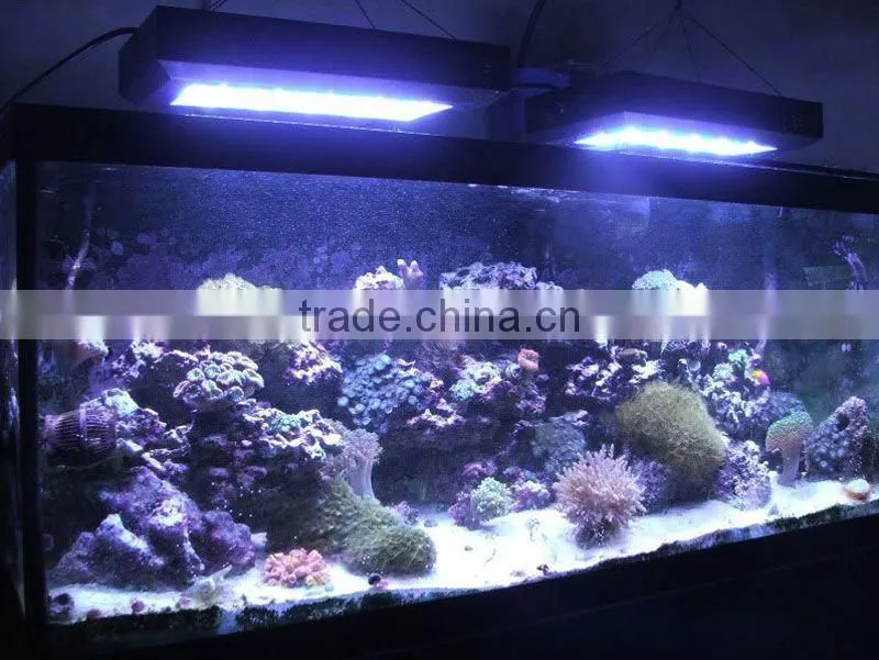 2012 best sales led aquarium light sunrise and sunset