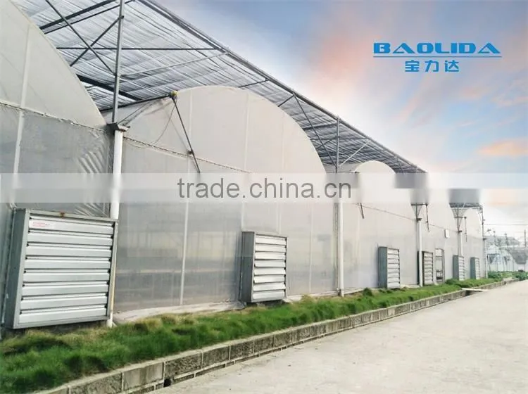 Factory Price BaoLiDa Poly Tunnel Greenhouse For Vegetables /Fruits /Crops
