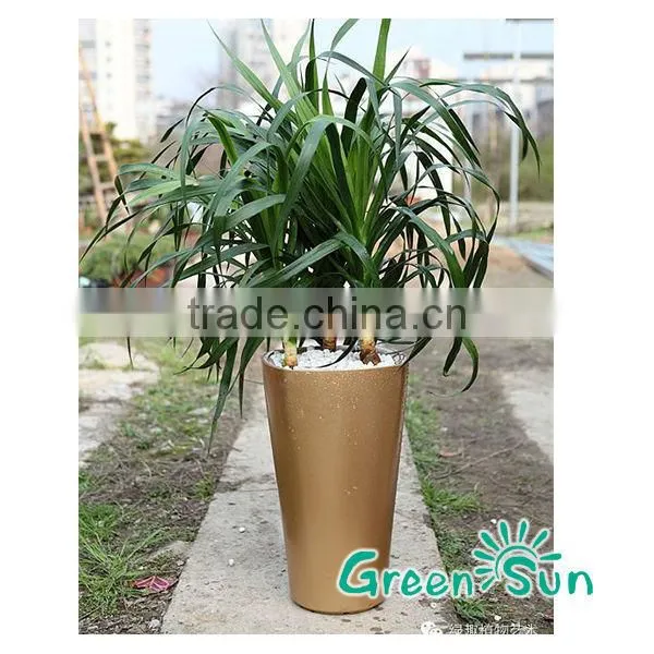 Villa Chunky round Self Watering Flower Planter