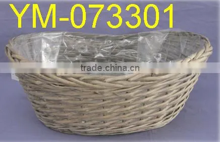 Cheap Garden Plant and Pot