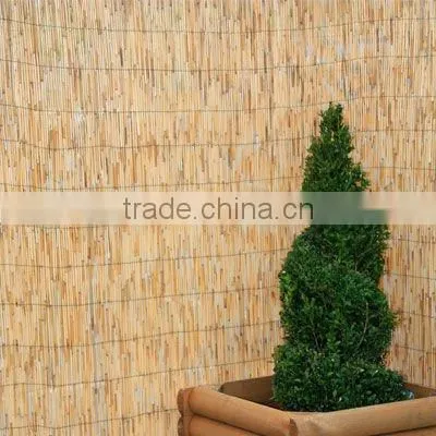 reed fence