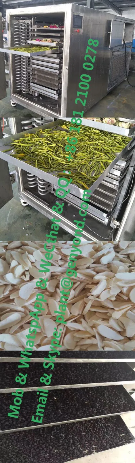 Vacuum Freeze Dried Drying Dryer Machine Food Fruit Honey Powder Instant Coffee Durian Strawberry Flowers Roses