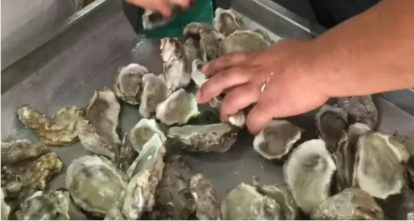 Professional Seafood Weight Sorting Machine Fish,shrimp,Oysters,Prawns,Scallops,Squid Weight Selecting Machine