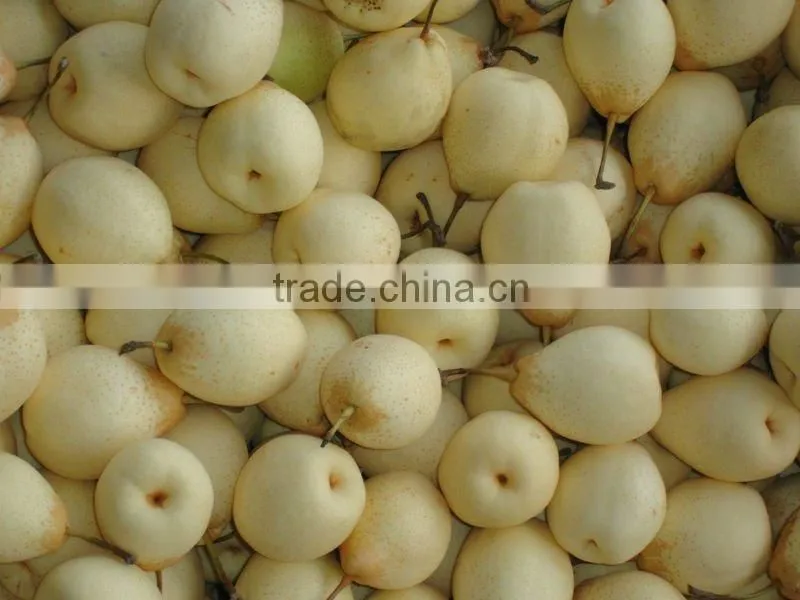 2016 good quality of the ya pear