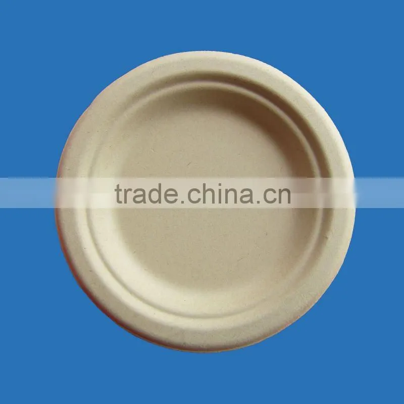 disposable bagasse plate good for environment