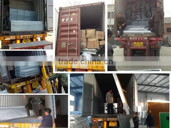 Animal Farm, Poultry Equipment, Rabbit Cage for Pet Cage