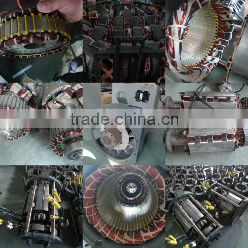 AC brushless alternator