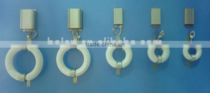 China market energy saving Induction Lamp
