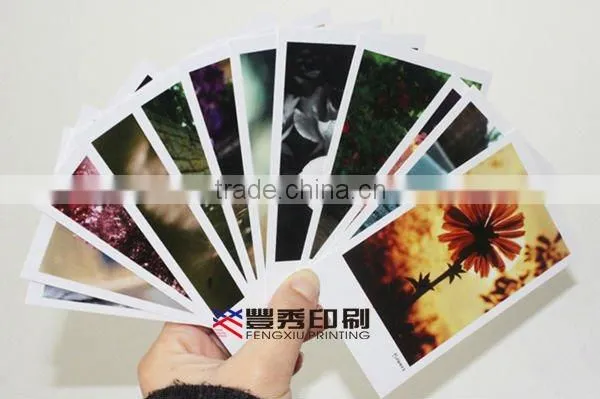 Hot Sale Paper Postcard Printing
