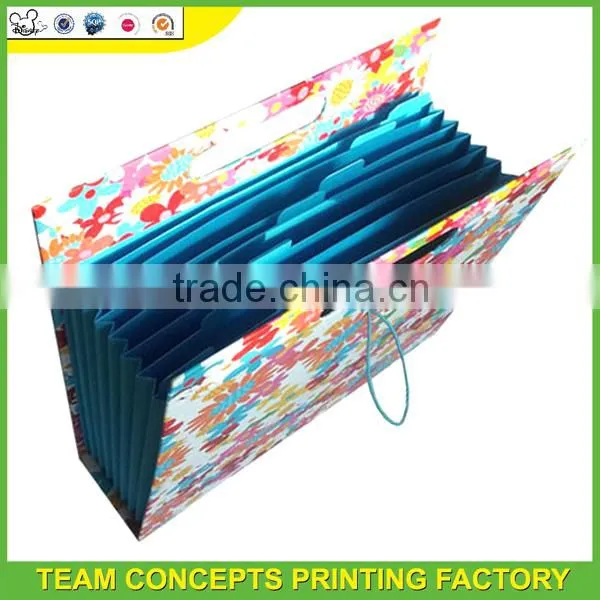 Hanging file folder with elastic bands