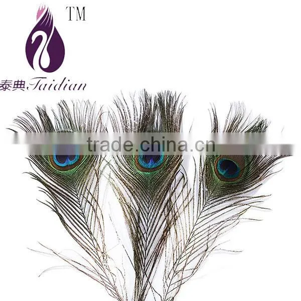 natural Peacock feathers,plume feathers for decoration