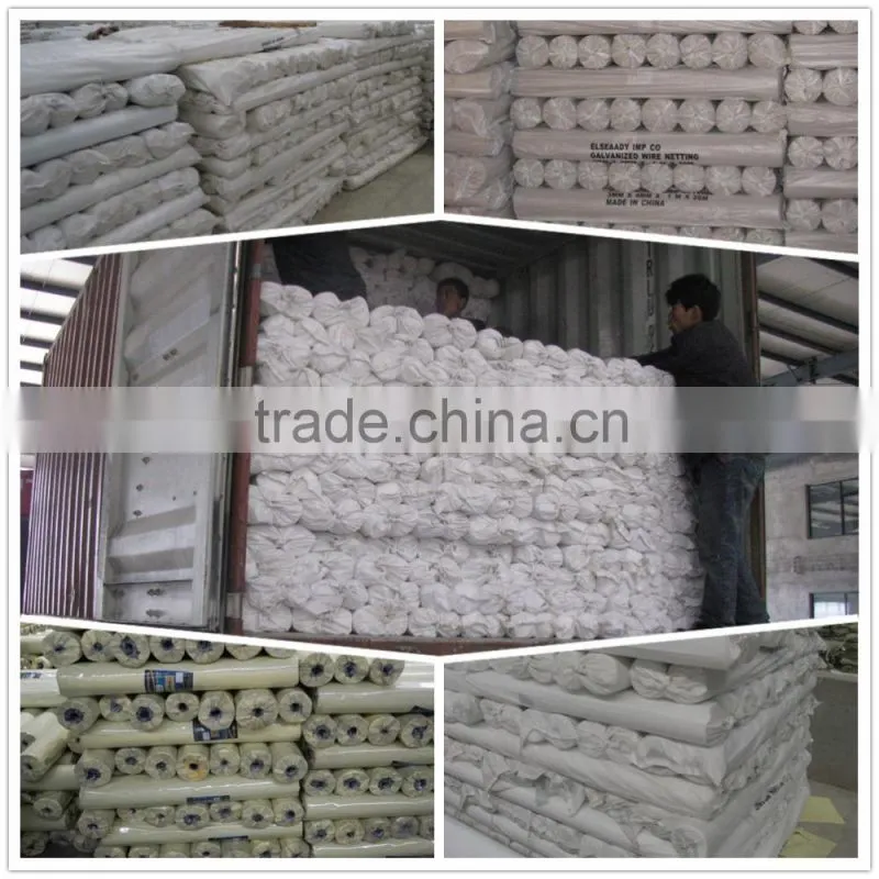 High Quality! 24 years old Expanded Metal Manufacturer!