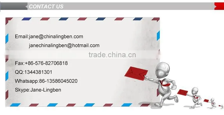 Lingben China smalll mini generator Tiger generator TG950