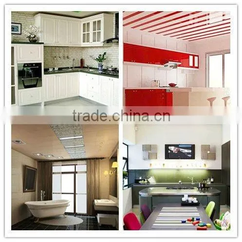 plastic panel with lamination