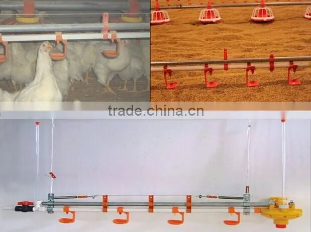 Professional high quality steel poultry shed/house for broiler