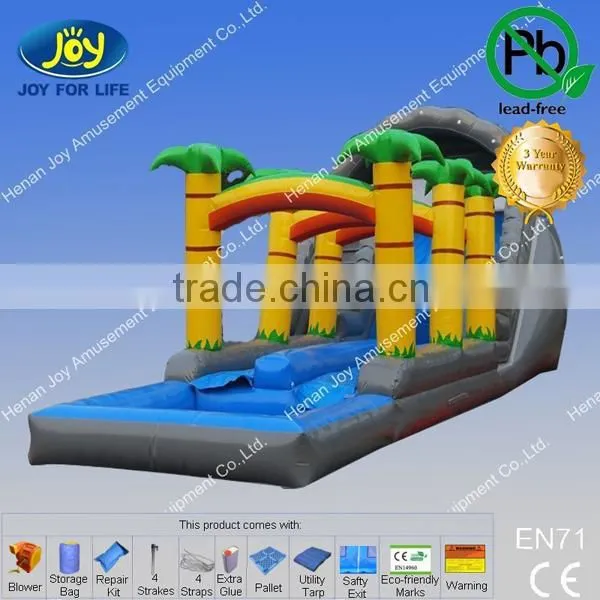 Tropical Palm Tree Inflatable Roaring River Water Slide